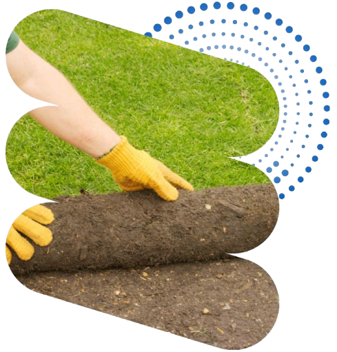 Turf img
